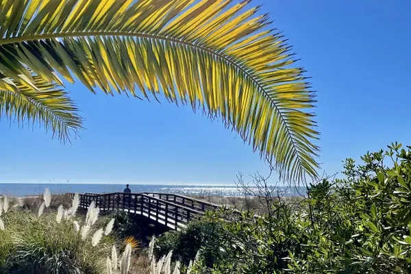 Shipyard, South Carolina